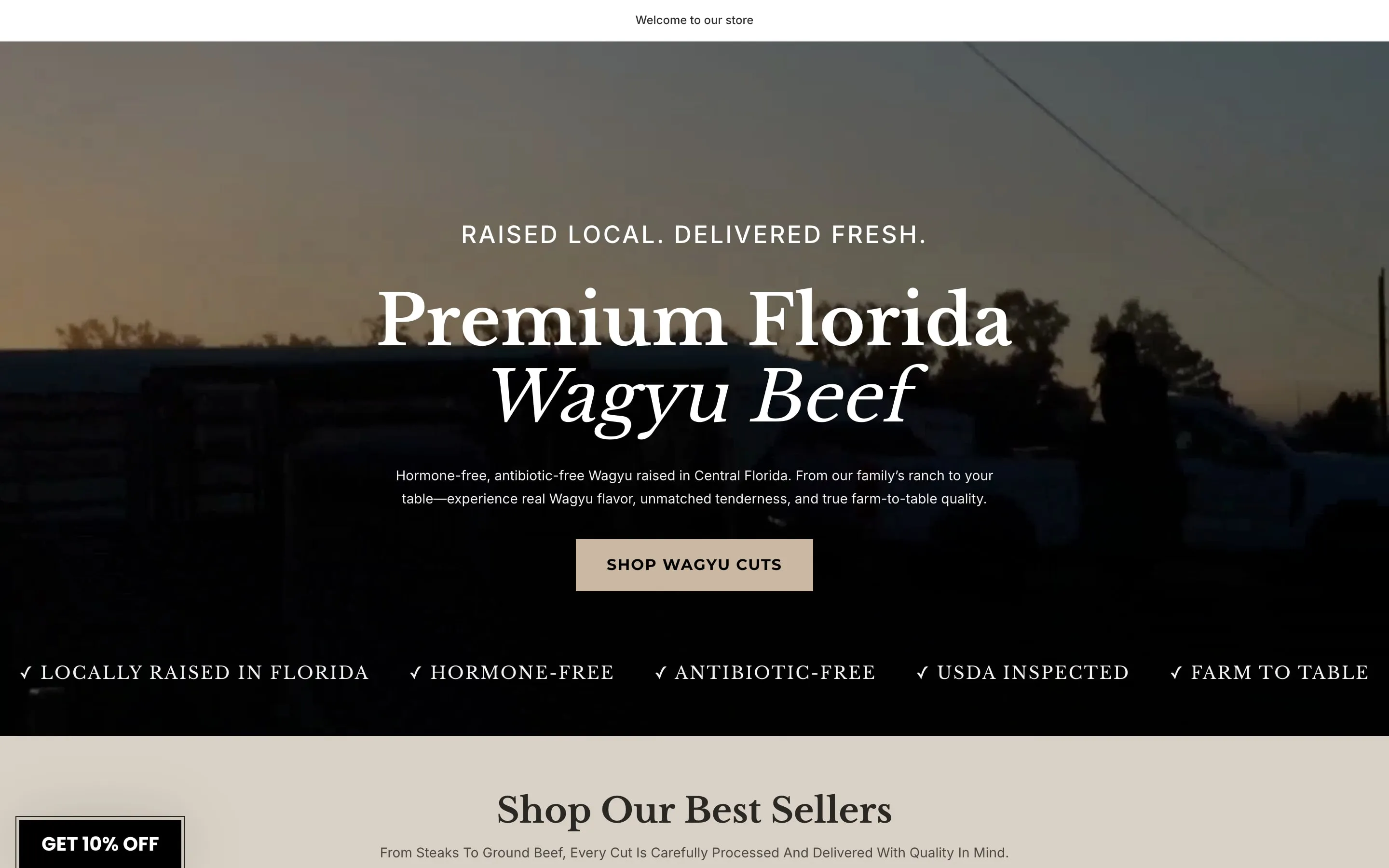 RHN Wagyu Meat Market Shopify store homepage